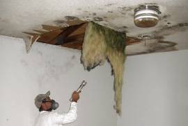 Get Rid of Mold for Good with Mold Removal Toronto